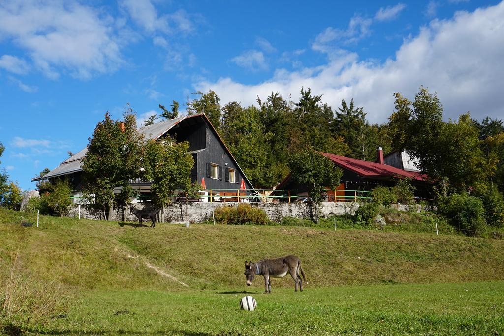 Guest house Beli Kamen Vojsko Exterior foto
